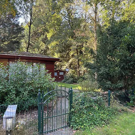 Chaletpark De Kempenbos - 196