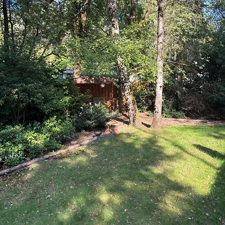 Domek alpejski Chaletpark De Kempenbos - 196 *