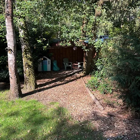 Chaletpark De Kempenbos - 196 *