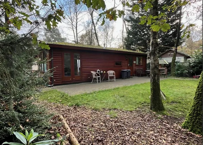 Chaletpark De Kempenbos - 196 * Diessen