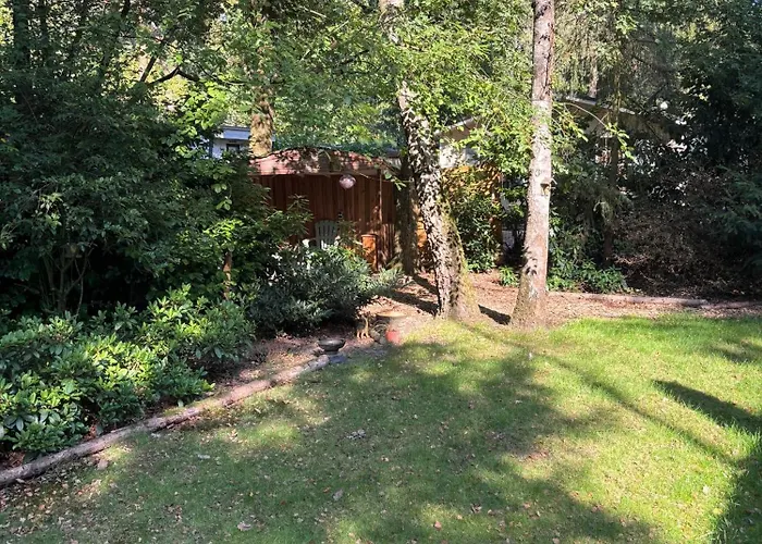 Dağ evi Chaletpark De Kempenbos - 196 *