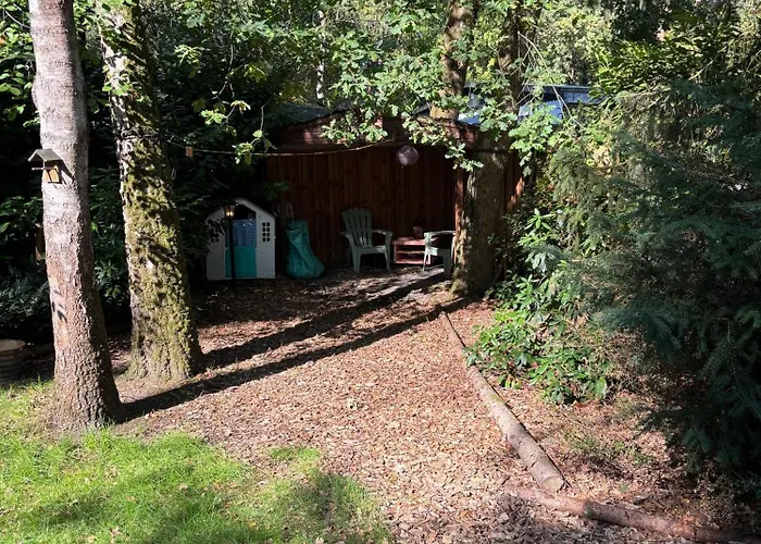 Chaletpark De Kempenbos - 196 *